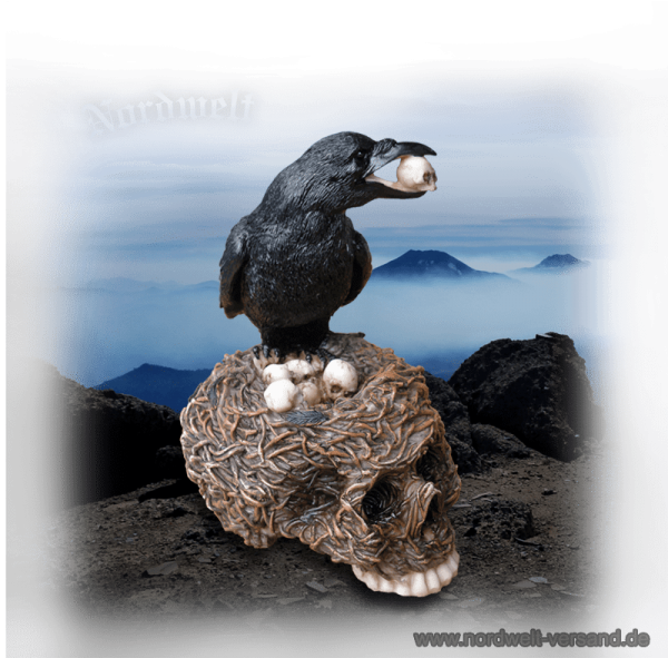 Odins Rabe auf Totenschädel Polyresin Wotansvogel Wegbegleiter Anderswelt Seelenvogel