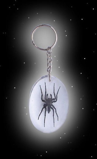 Key chain with real spider