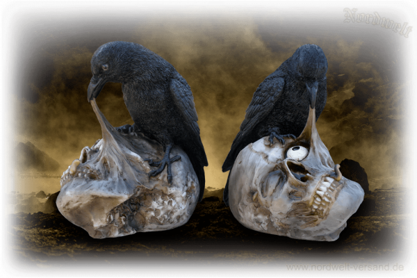 Odins Rabe beim speisen auf Totenschädel Polyresin Wotansvogel Wegbegleiter Anderswelt Seelenvogel